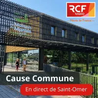 Cause commune St Omer en direct de la maison du Marais