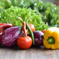 Des légumes bio cultivés en circuits-courts à Marseille