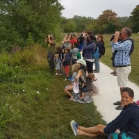 La Ligue pour la Protection des oiseaux