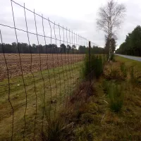 Des clôtures en Sologne dans le Cher en décembre 2021 © RCF - Guillaume Martin-Deguéret.