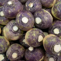 Rutabaga