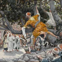 James Tissot, Zachée sur le sycomore attendant le passage de Jésus ©Wikimédia commons