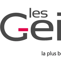 Logo GEIQ