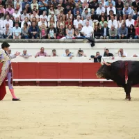 Le matador Sébastien Castella durant la féria de Béziers (Hérault) en 2015 © Mehdi Chebil/Hans Lucas  