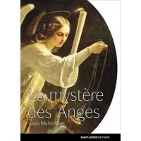 Le mystère des anges de Louis-Michel BLIN