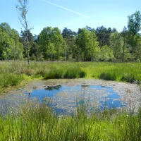 ©Conservatoire d'espaces naturels Nouvelle-Aquitaine