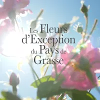 24 producteurs au service de la fleur d'exception