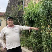 Un potager aux abords de la Maison Saint-Pierre... Robert veille au grain !