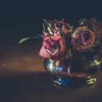 Pourquoi l’idée de la mort a-t-elle déserté notre quotidien ? ©Unsplash