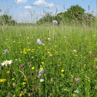 Parc Naturel Régional de Lorraine