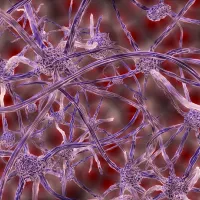neurones © pixabay