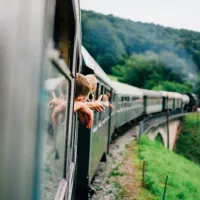 image d'illustration (train) - © Christian Lue via Unsplash