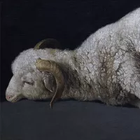 Francisco de Zurbarán, Agnus Dei ©Wikimédia commons