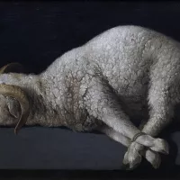 Francisco de Zurbarán, Agnus Dei ©Wikimédia commons