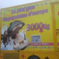 Le cirque Zavatta vante la présence des animaux sur ses camions - Photo RCF