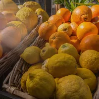 Agrumes de Sicile