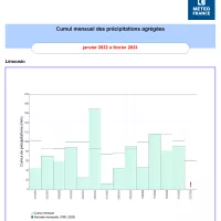 ©Graphique des cumuls d'eau de pluie- Météo France