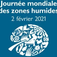 JMZH 2023