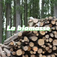 La biomasse