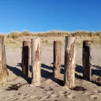 Les pieux installés sur la plage de Gonneville ©RCF Manche
