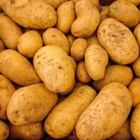 Parlons pommes de terre !