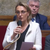 Delphine Lingemann à l'Assemblée Nationale