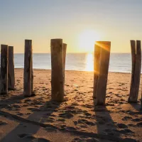 La plage de Blainville sur Mer et ses poteaux protecteurs de la dune (Crédit photo : Camille Godefroy)