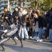 Rocket photographié par des étudiants en informatique, au World Artificial Intelligence Cannes Festival, le 9 février 2023, à Cannes. © Eric Dervaux / Hans Lucas