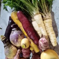 Légumes anciens