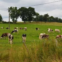 Les exploitations agricoles sont en baisse en France - Photo Wikimedia Commons