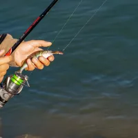 Les fédérations de pêche représentent le deuxième plus grand réseau associatif de France. 