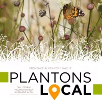 Plantons local