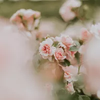 ©Unsplash