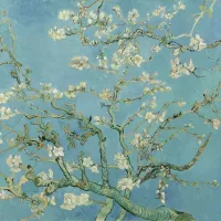 Amandier en fleurs Vincent Van Gogh