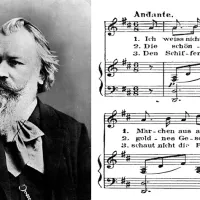 © Montage Wikimedia Commons. Johannes Brahms à la fin de sa vie.