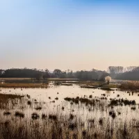 Etang du Grand Birieux ©Conseil départemental Ain