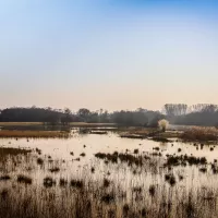 Etang du Grand Birieux ©Conseil départemental de l'Ain