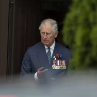 Le prince Charles en 2013 © Eric Beracassat / Hans Lucas France