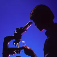 image d'illustration (microscope) - © National Cancer Institute via Unsplash