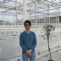 Tristan Boureau, directeur de la plateforme Phénotic, au milieu de sa nouvelle serre chauffée de 1 000 m², inaugurée le 4 mai 2023 ©RCF Anjou