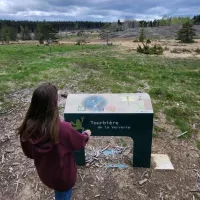 Tourbière de la Verrerie, lieu d'implantation de la huitième oeuvre du parcours artistique