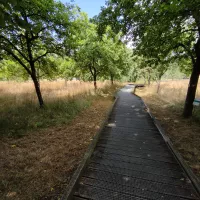 Le parc Normandie-Maine forme des CM1 et CM2 au climat ©Aurélien Vurli / RCF Orne