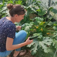 Marie Voland dans la serre du Potager des coquelicots ©Cols Verts Vannes