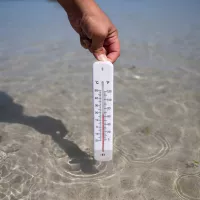 Canicule marine sans précédent dans l'océan atlantique avec des températures supérieures de 5 degrés à la normale © Vincent Feuray / Hans Lucas.