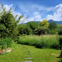 Le Jardin du Farou, une vie sauvage apprivoisée