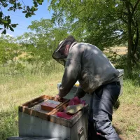 À la miellerie des Collines, dans la Drôme - © RCF Drôme (Violette Ferreira)