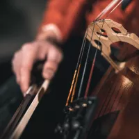 Festival de Musique d'été de Toulon