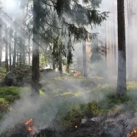 A noter que les SDIS sont à la recherche de sapeurs-pompiers volontaires. Indispensables, mais difficiles à recruter, ils représentent les trois quarts des effectifs de pompiers. 