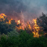 Feu de forêt sur la commune de Voreppe en Isère en août 2022, @ Nicolas Liponne / Hans Lucas.