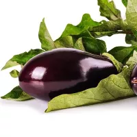 Pixabay -- Aubergine